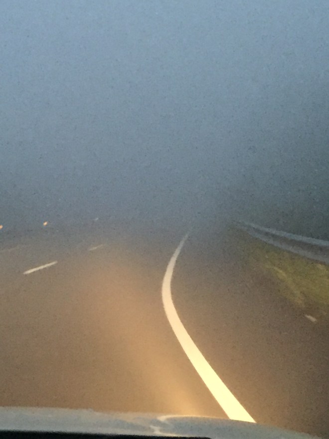 20160529_104813565_iOS