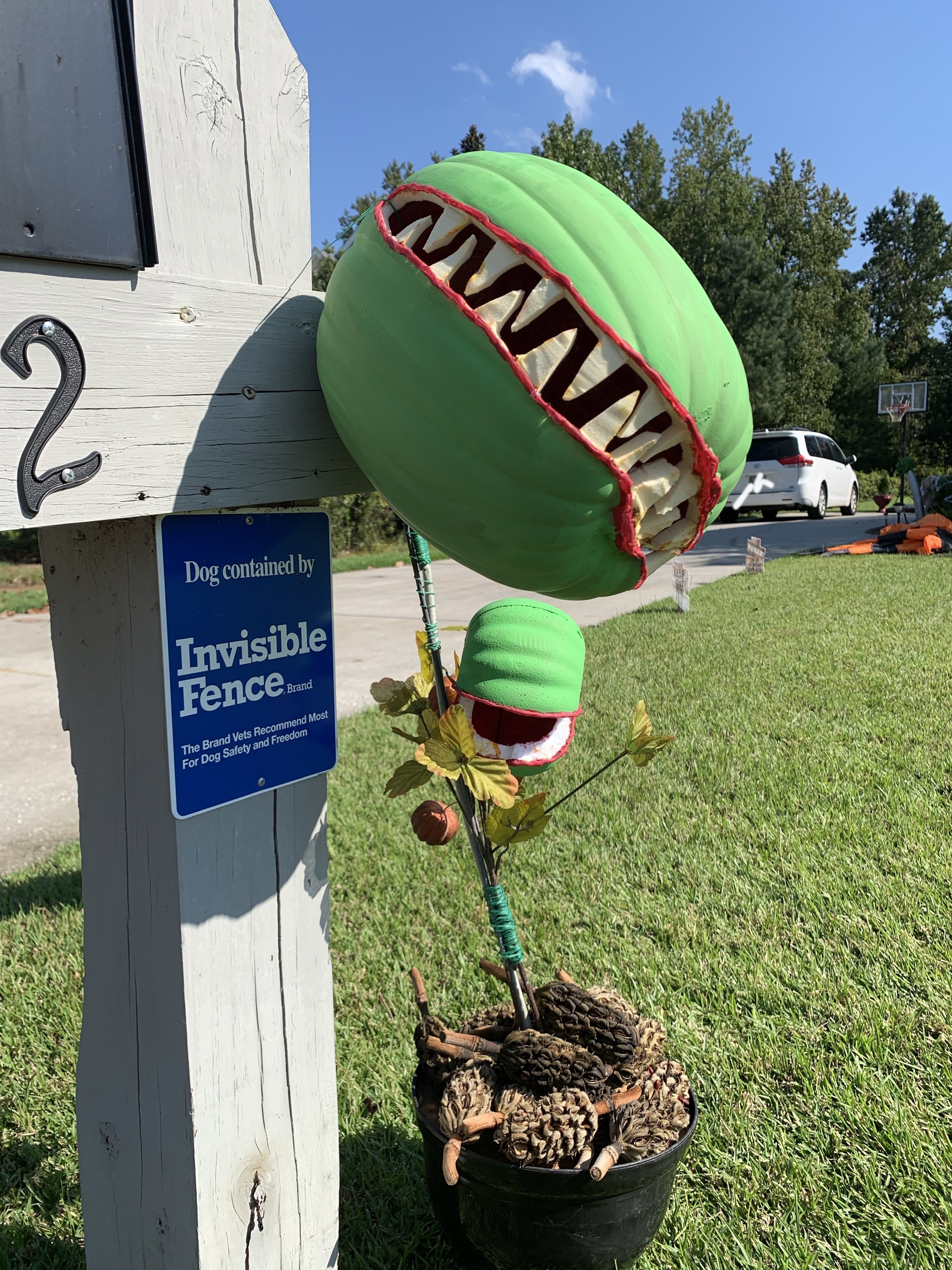 Little Shop of Horrors Halloween Treasure – aussiemumsadventures